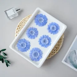 6pcs Preserved Flowers Gerbera 6-7cm Naturally Preserved Wedding Party Decorations Forever Flowers Green Flowers for Crafts