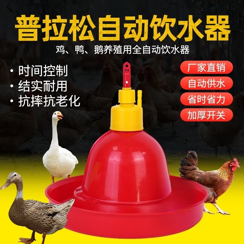Poultry Automatic Waterer, Water Feeding Equipment for Chicken Duck Goose, Farm Automatic Water Drinking Kettle