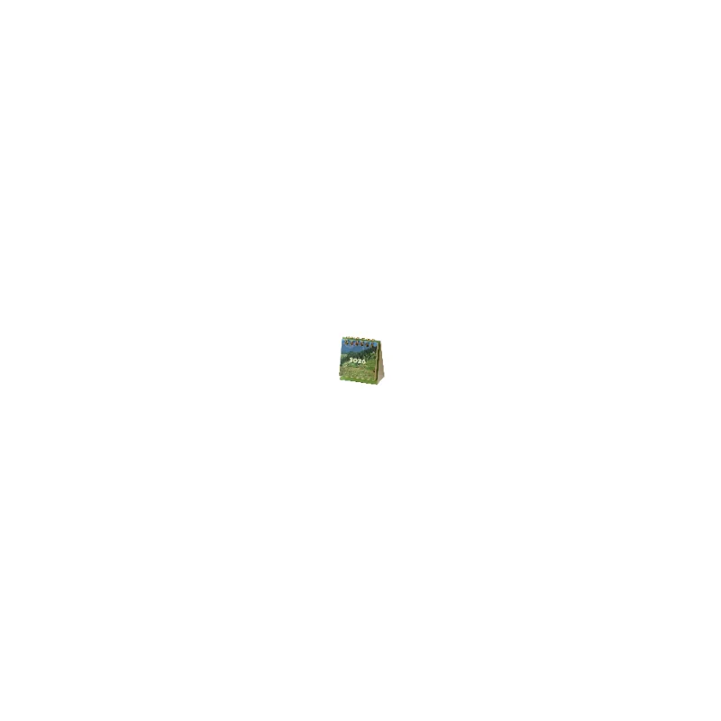 

2026 Landscape Mini Desk Calendar Creative Coil Calendar Planner Desktop Ornament Decoration Office Stationery