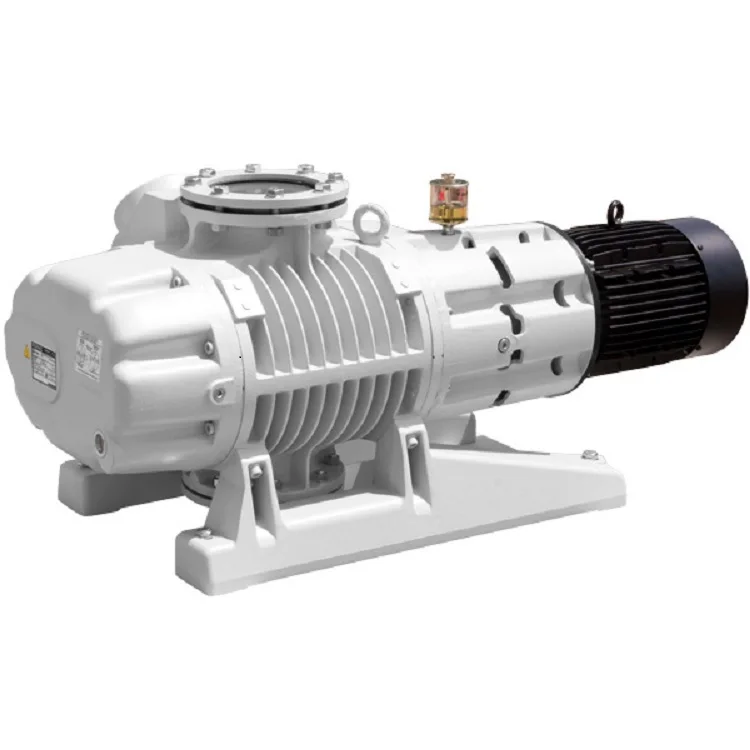 المضخات متخصصة في إصلاح المضخات الكهربائية جذور WA/WAU1001 #2