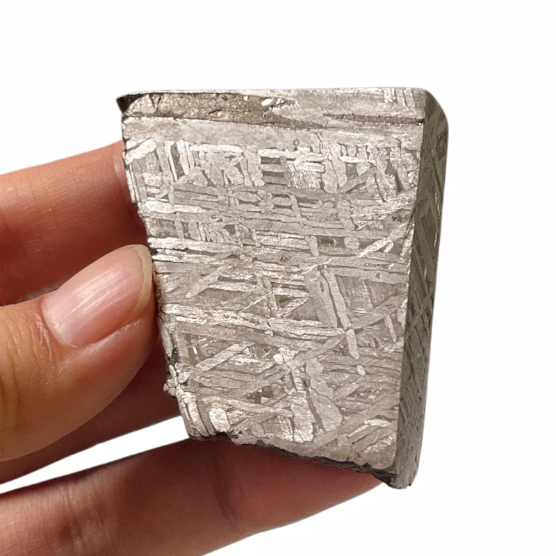 122.8g Collector Grade Muonionalusta Meteorite Slice Premium Widmanstätten Pattern Specimen TC783