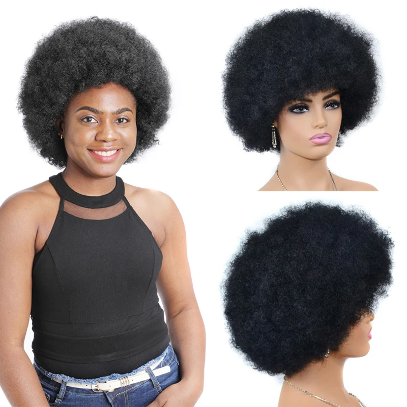 

Afro Wig For Women Afro Kinky Curly Hair Wigs Natural Full Wigs Short Afro Curly Wig Synthetic Bouncy Afro Puff Wig With Bangs