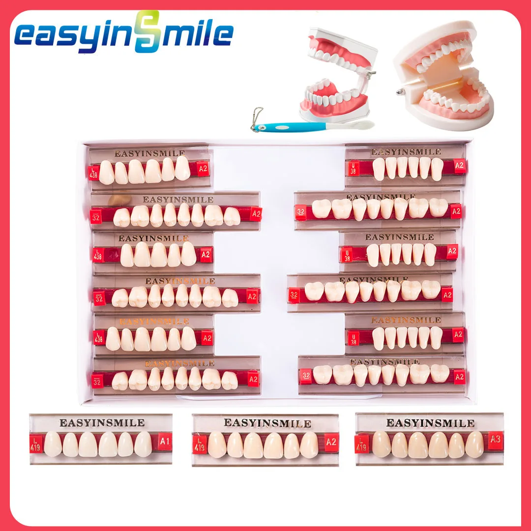 16/12 Sets/ Box Dental Teeth Anterior Posterior Polymer Denture acrylic Tooth A2 A3 2 Layers Dentistry Materials Education Model