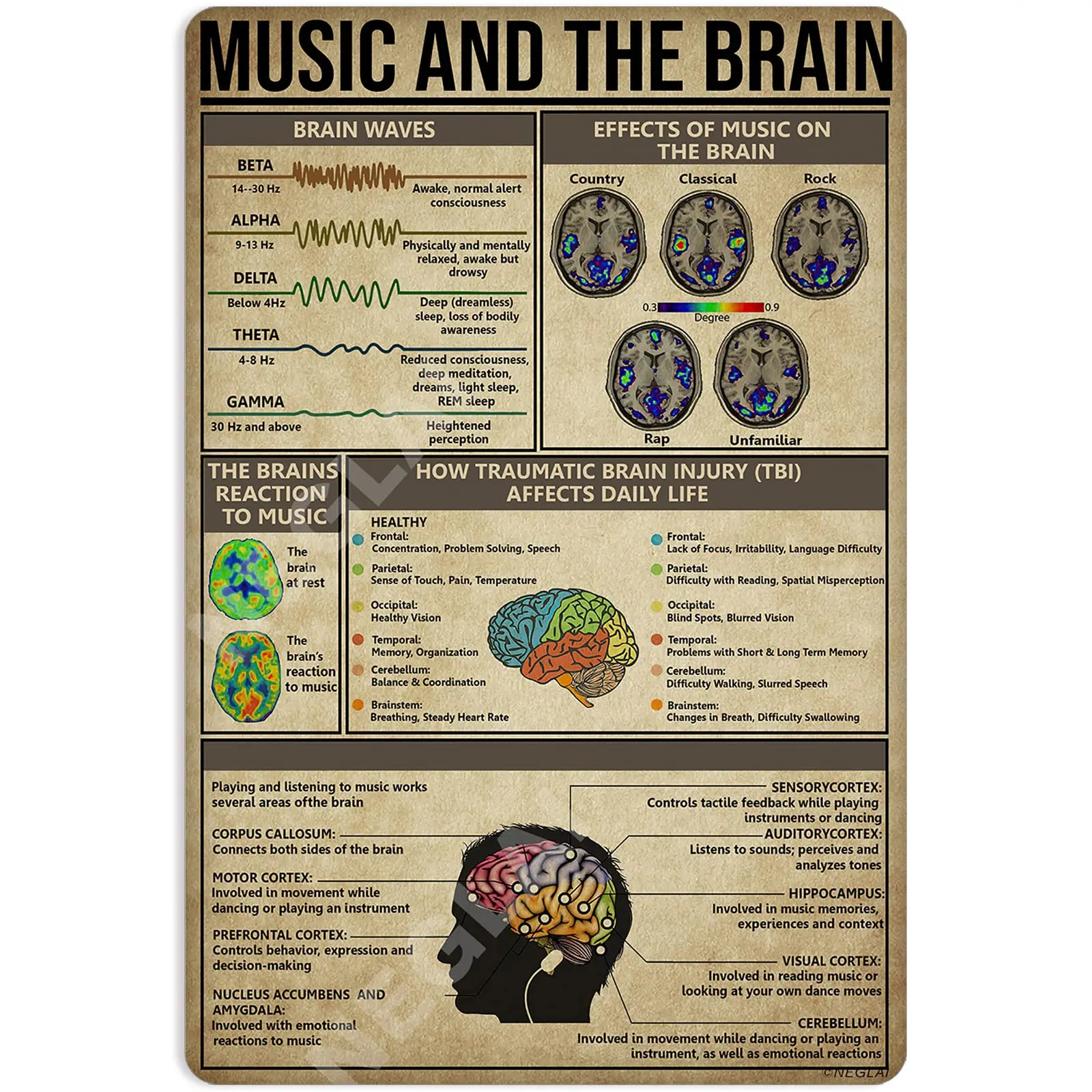 Music and The Brain Knowledge Metal Signs Poster, Vintage Wall Decor Farmhouse Decorations 16x12 Inches