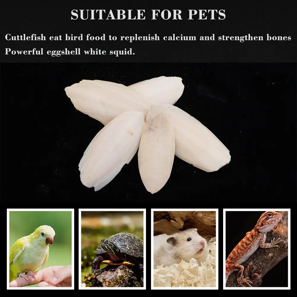 Pet Parrot Perch Hamster Hanging Bell Calcium Supplements Molars Cuttlefish Bones Chewing Toys Bird Food Parakeet Cockatiel