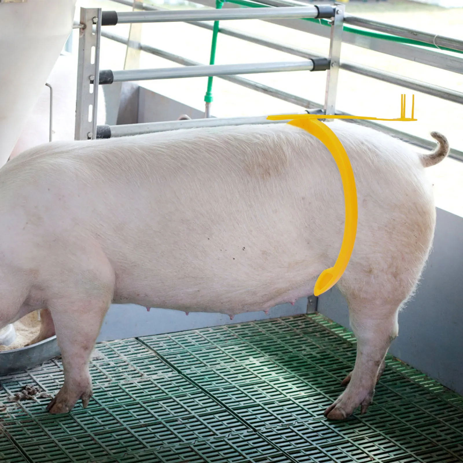 

Pig Infusion Rack Artificial Jar Clamp Yellow Plastic Feeding Clip Bottle Pig Clamp Supply Automatic