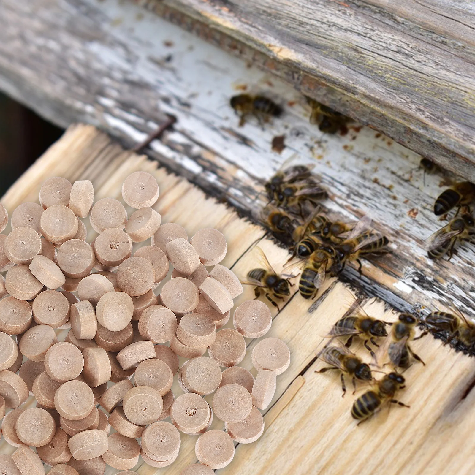 100 peças tampões de buraco de móveis de madeira reutilizáveis tampas decorativas para furos de parafuso projetos domésticos reparo de abelha carpinteiro