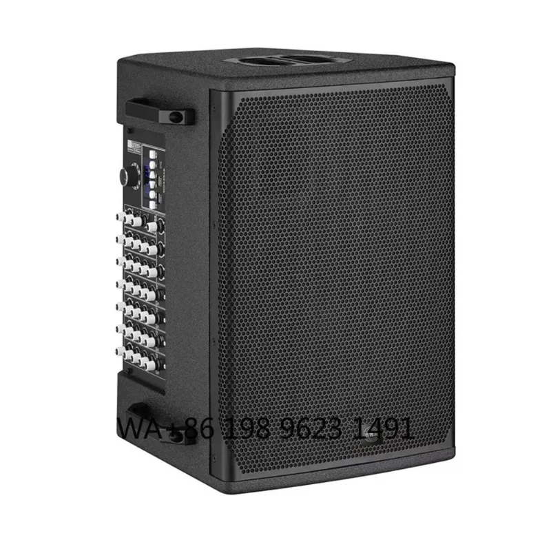 

10 Inch High Power Portable PA Speaker Wireless Karaoke Audio System for Outdoor Busking Guitar Live Stage Events