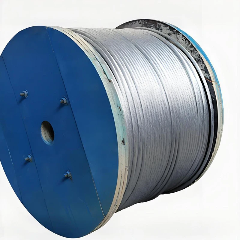 

Hoist Steel Wire Rope Gustav Wolf Galvanized Stainless Steel Wire Rope for Elevator