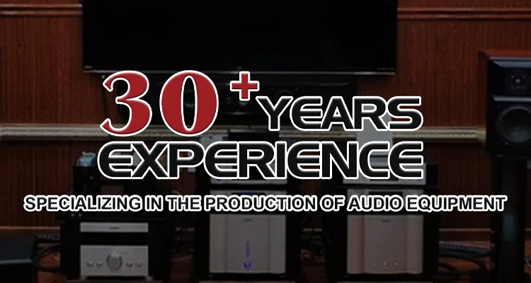 TY-1CD HiFi Fever Digital Home CD Player com decodificação a laser HiFi Fever Digital Player
