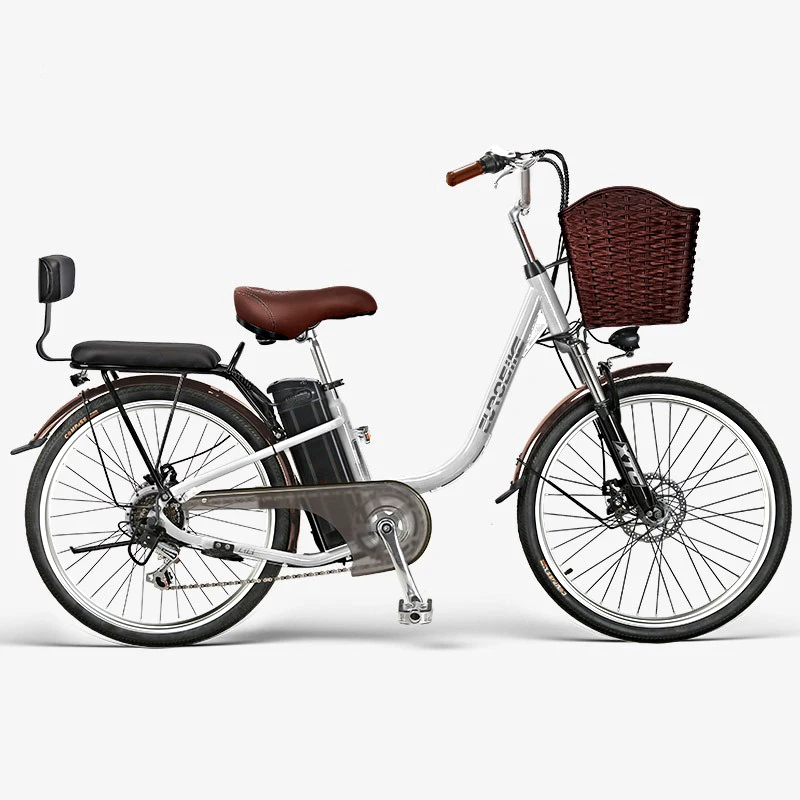 最大時速25キロの電動自転車！！！！ 新しい電動自転車 24/26 インチ取り外し可能なリチウム電池電動自転車