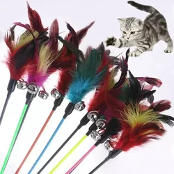 Bâton de plumes pour chat, jouet interactif avec clochette, fournitures pour animaux de compagnie, jeu