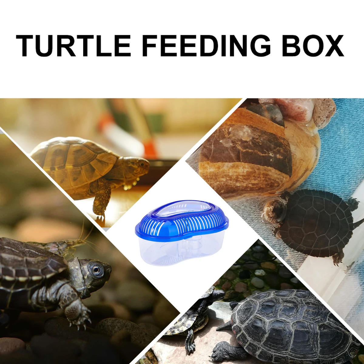 

1pc Turtle Tank with Drying Platform PP Material -Resistant Non-Toxic Easy Cleaning Handle Cover Design for Small
