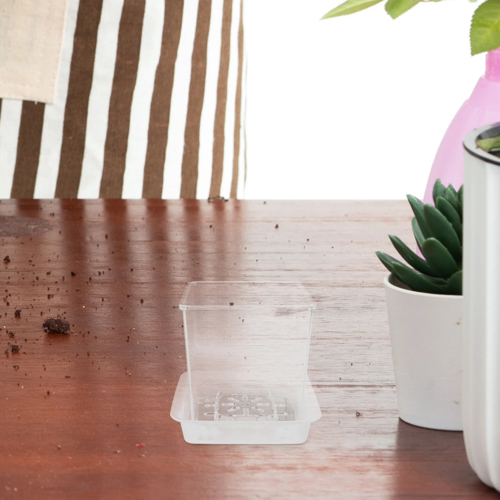 

Набор прозрачных горшков для детского садоводства: пластиковые контейнеры для рассады с поддонами для занятий творчеством