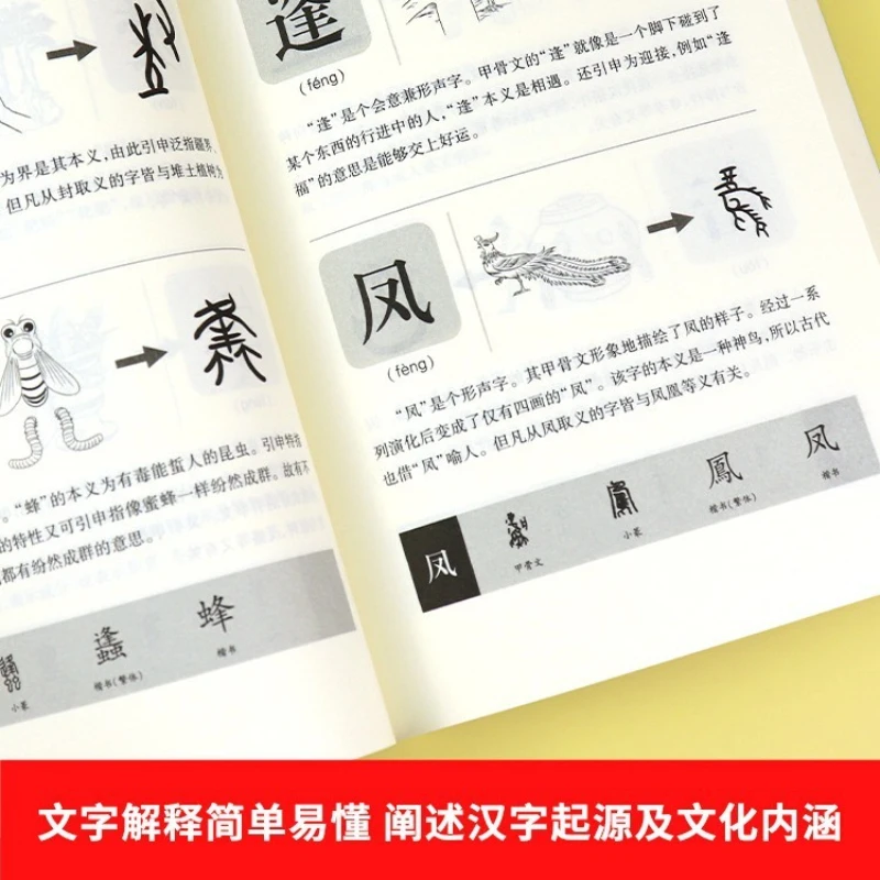 Shuowen Jiezi Explicación detallada, Un Reino de caracteres chinos para niños, Un Libro Evolucional de caracteres pictográficos