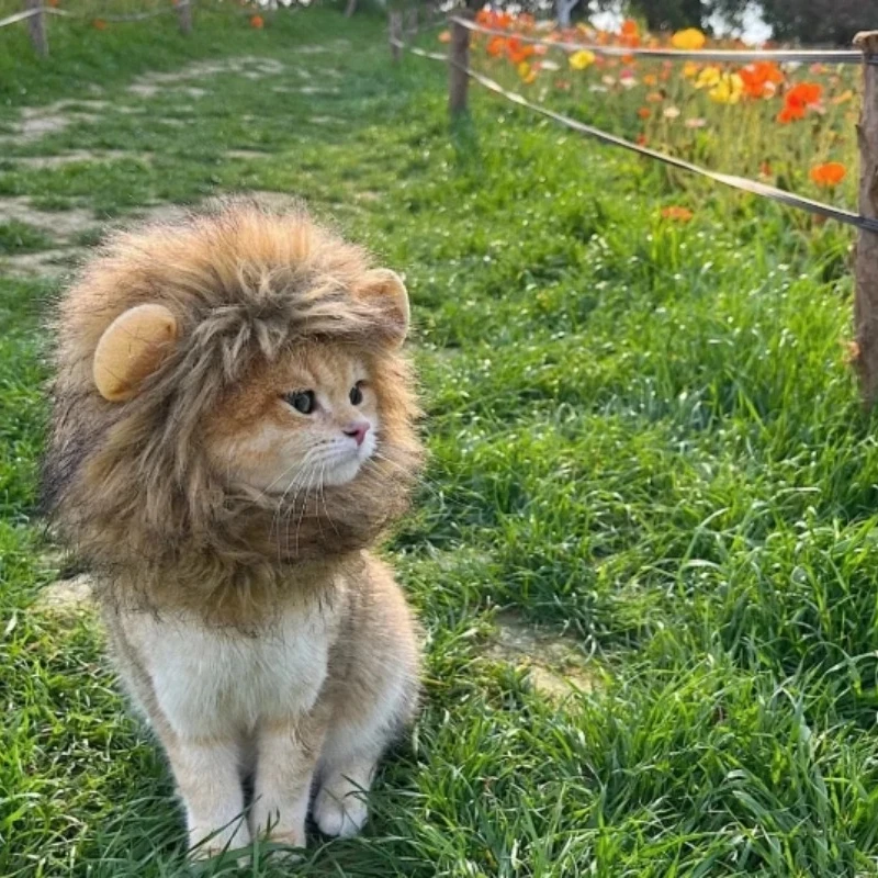 Cat Lion Mane Halloween Costume Lion Costume Cat Cosplay Dress Up Pet Hat for Small Cats and Kittens Party Decoration Wholesale