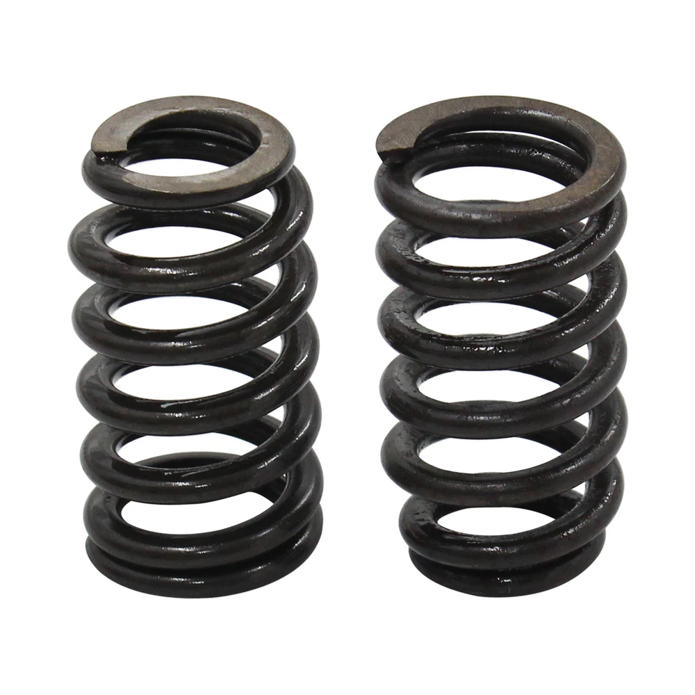 

​PAC-1218 Drop-In Beehive Valve Spring Kit for all LS Engines - .600" Lift Rated
