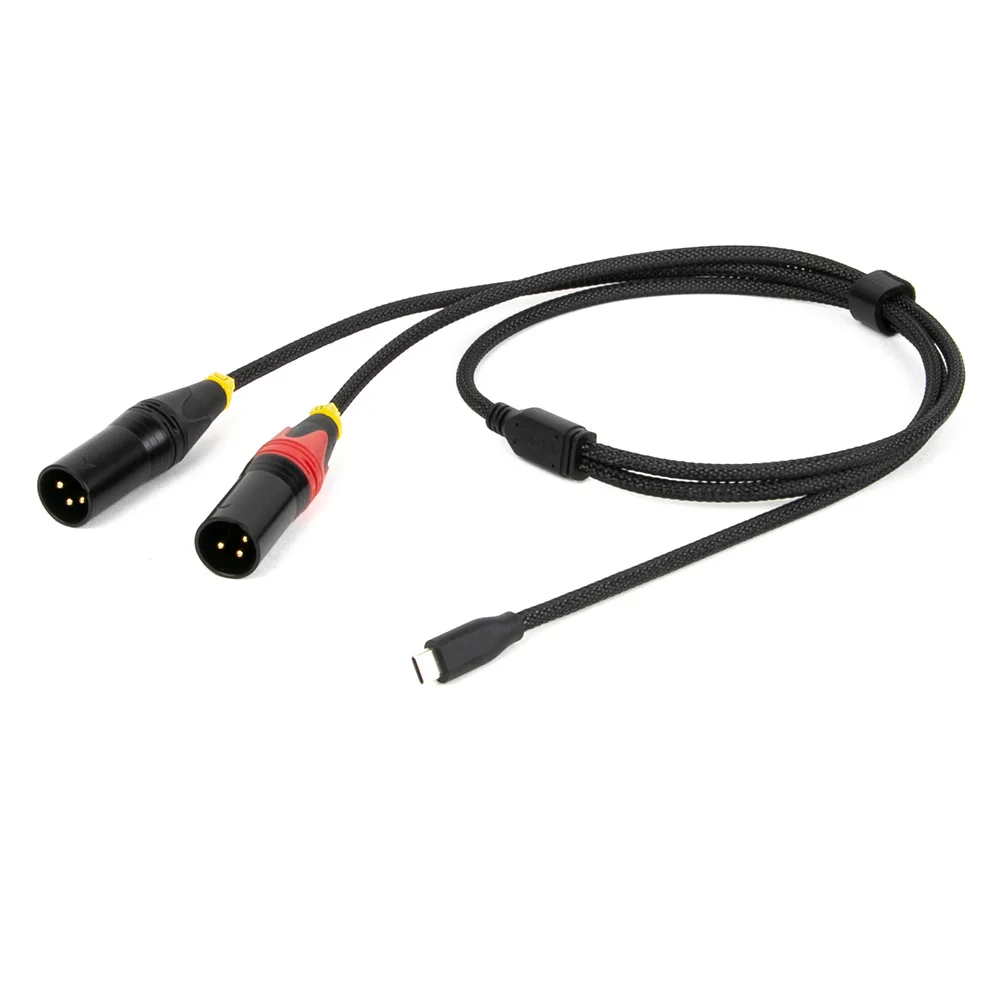 Cavo adattatore convertitore audio USB tipo C a doppio XLR, altoparlante attivo con connessione USB C per telefono cellulare, cavo audio amplificatore di potenza
