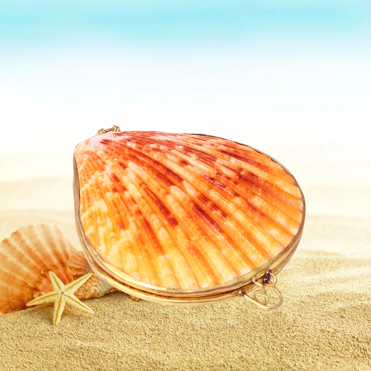 

Scallop Style Natural Shell Jewelry Bag Ring Earring Container Necklace Box Ideal for Proposal Engagement Wedding Birthday