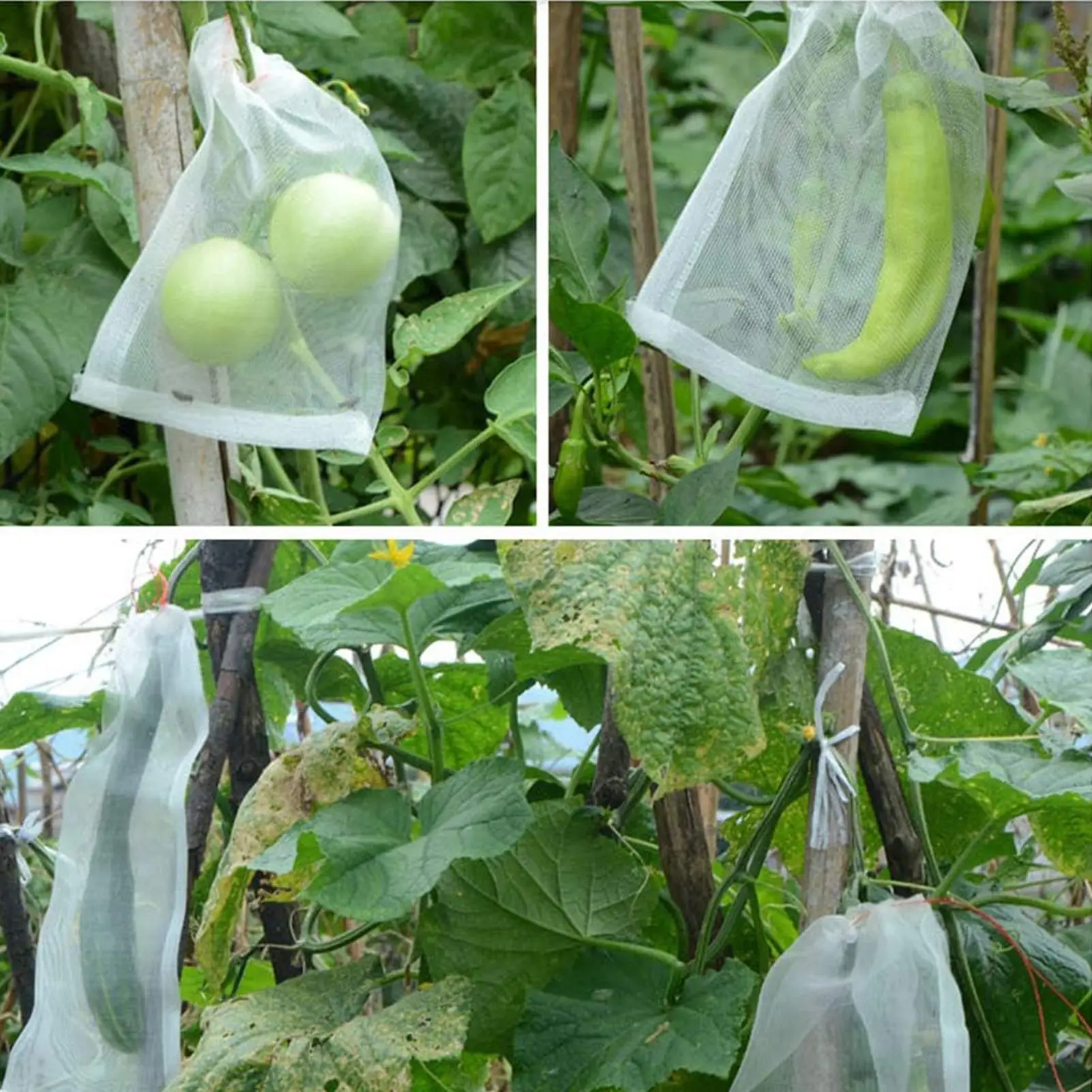 

Bags For Fruit Trees 100 Pieces Drawstring Breathable Reusable Fruit Trees Netting Bags For Grapes Tomato Strawberry Blueberry