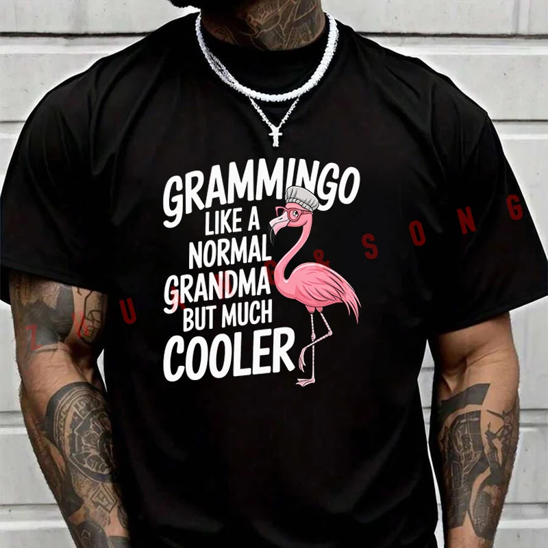 

Футболка Grammingo Like A Normal Grandma But Much Cooler, мужская брендовая футболка, мужские летние футболки, повседневные футболки высокого качества с круглым вырезом