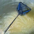 Fishing Net