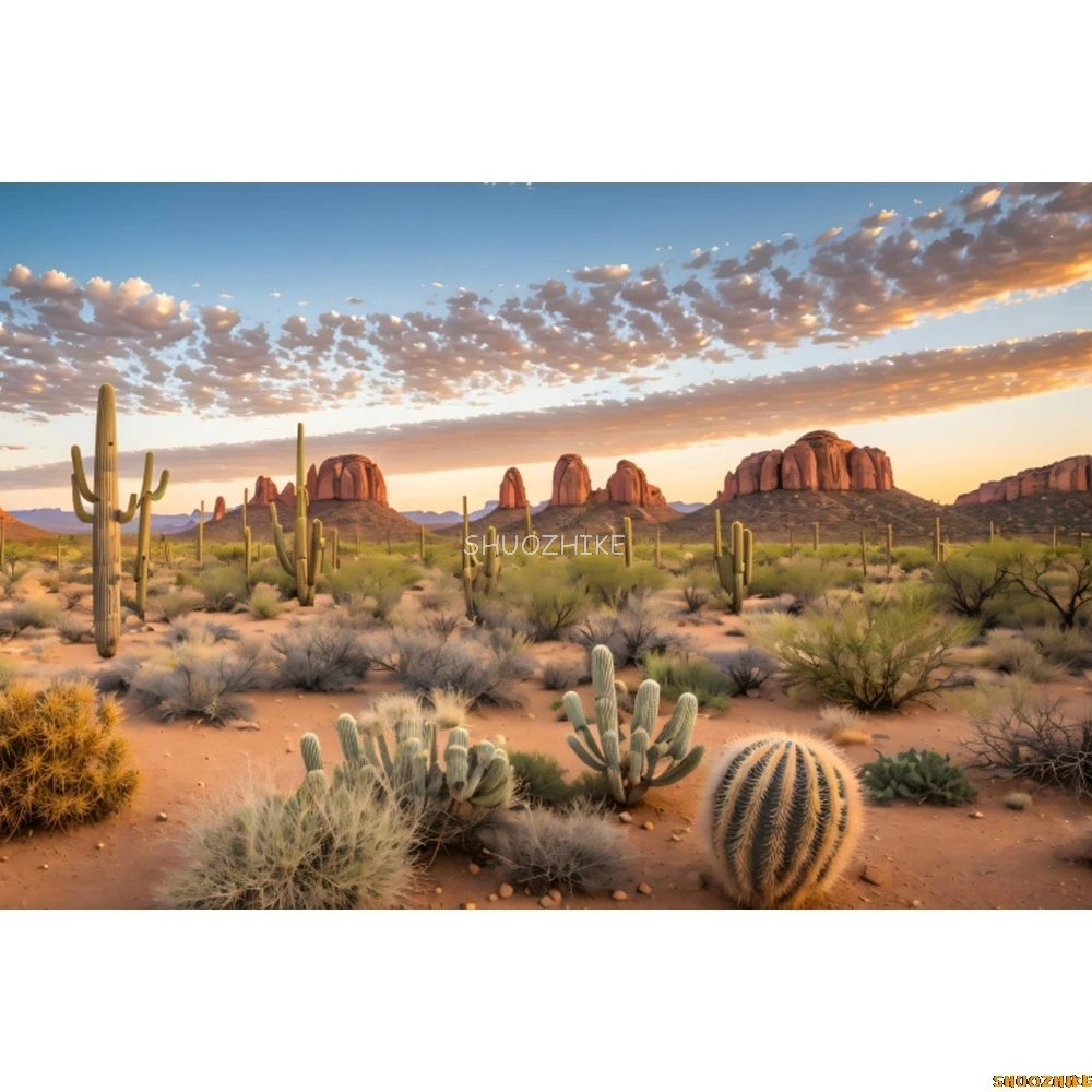 砂漠の写真の背景,自然の風景の肖像画,写真の背景,ダスター,サボテン,山,低木,丘の中腹
