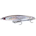 purple minnow