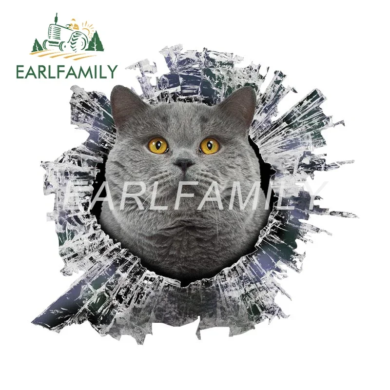 EARLFAMILY 13cm x 11.9cm for Shorthair Kitten Car Accessories Stickers Motorcycle Decal Car Refrigerators RV JDM Vinyl Sticker