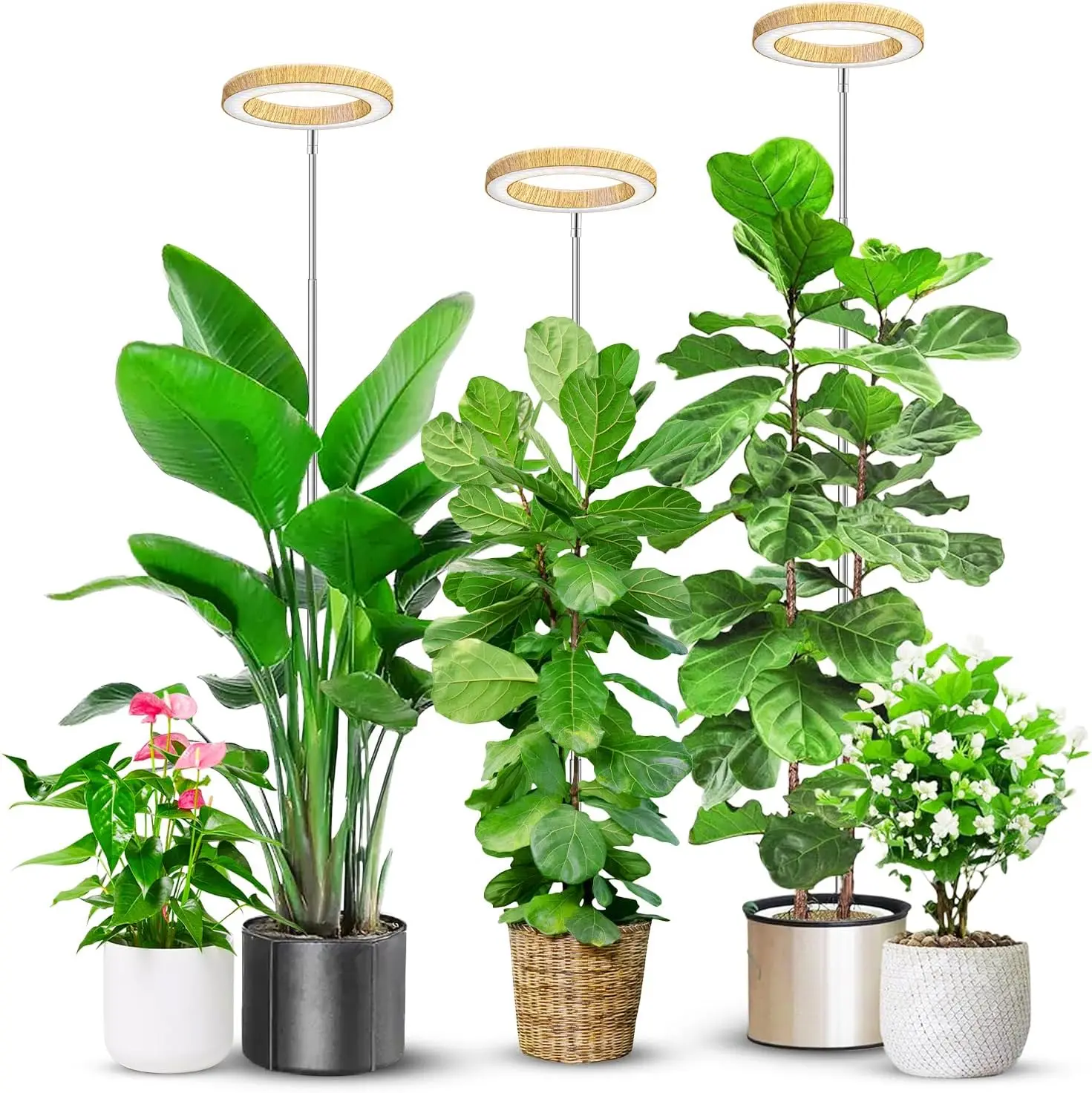 

6.3in Full Spectrum LED Grow Light with Timer, Adjustable Height, 3 Modes & 5 Brightness Levels for Indoor Plants