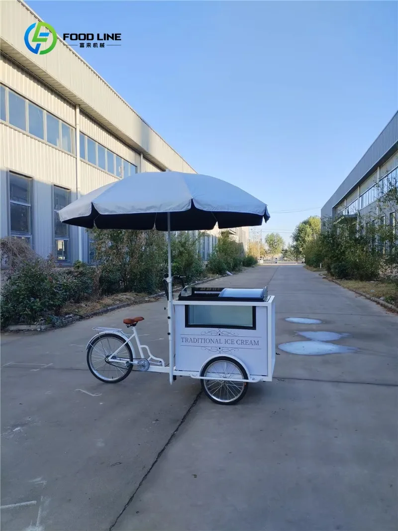 Customized Ice Cream Tricycle Cart with Freezer Mobile Bicycle for Street Market Event Commercial Catering Business Use