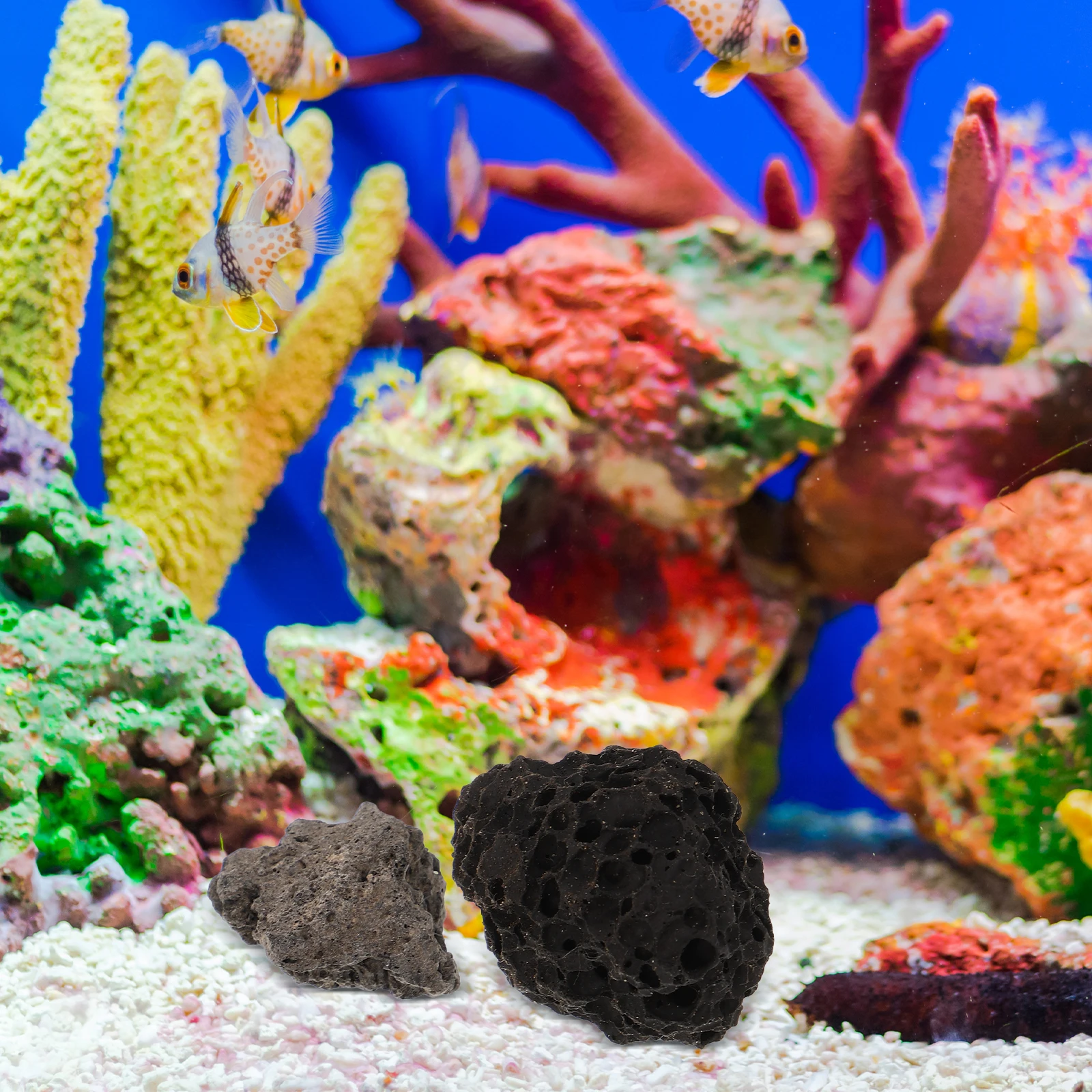 1 bolsa de rocas decorativas de piedra volcánica Natural para decoración de acuario, plantas en macetas, piedras de paisajismo