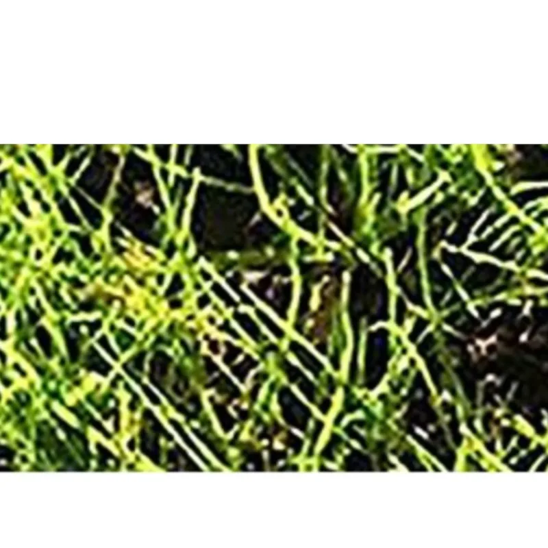 

Скрыть ключ, наличные, скрытый ящик, спринклерная головка, сейф для денег, открытый сад, двор, скрывающий ящик, водонепроницаемый, устойчивый к коррозии, ударопрочный