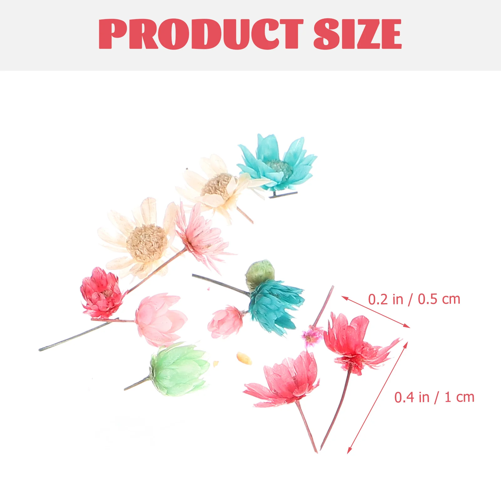 Nagel gedroogde bloemen kleine ster hoofd DIY kristallijm zonder paal glazen bol vulling kleur roze plant ambachten geperst voor decor