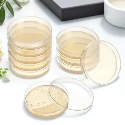 

20 pcs Nutrient Plates Pre-Poured Petri Dishes For Laboratory Science Experiments Cultivation Tissue Culture Agar Plate Lab