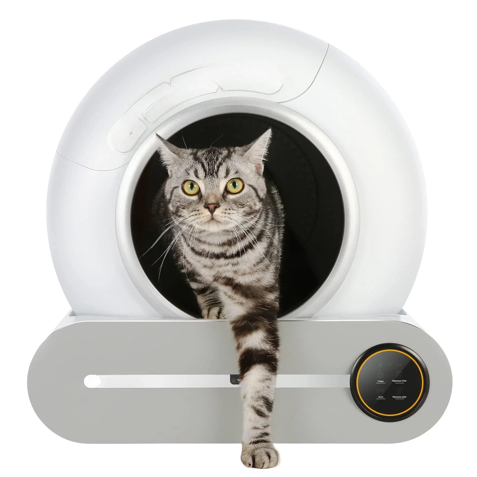 Oi Blessing Warehou…