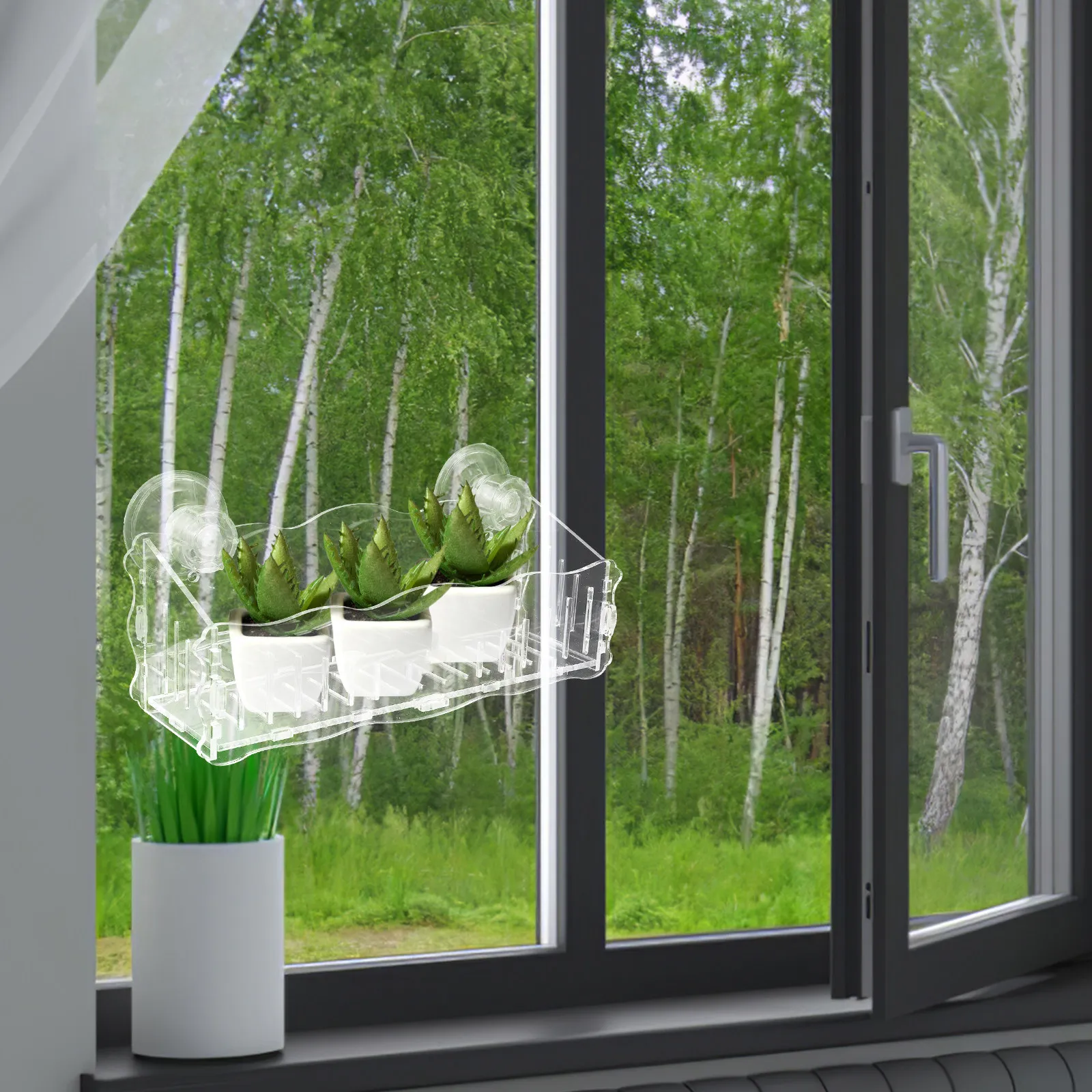 حامل نباتات أكريليك شفاف بقاعد - مراجعة Bonsai Vertical Garden وسعره