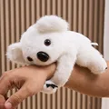 White Koala