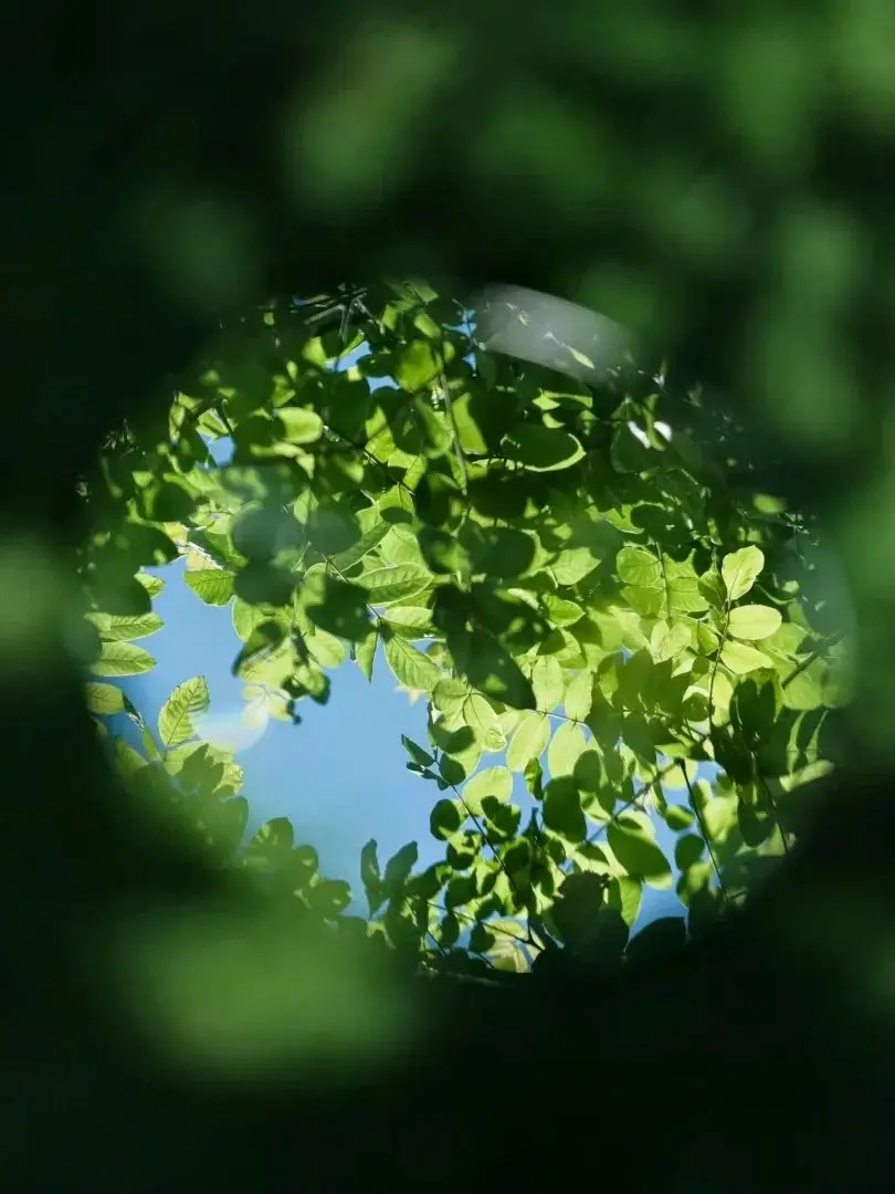 Rechargeable Power … - image