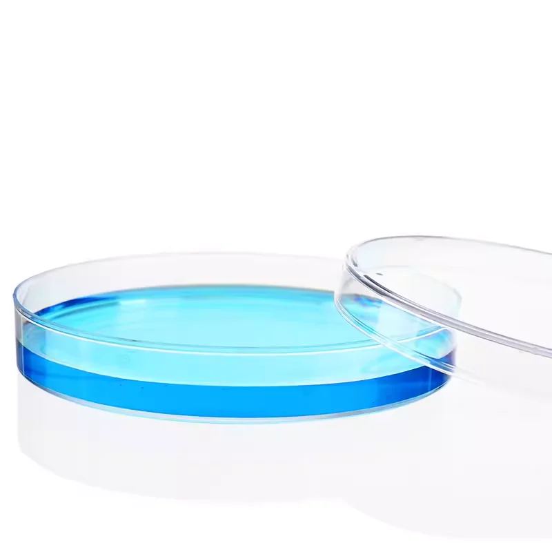 10Pcs Lab 35mm 60mm 90mm 100mm 120mm 150mm Disposable Sterile Plastic Petri Dishes Lab Cell Tissue Culture Dish