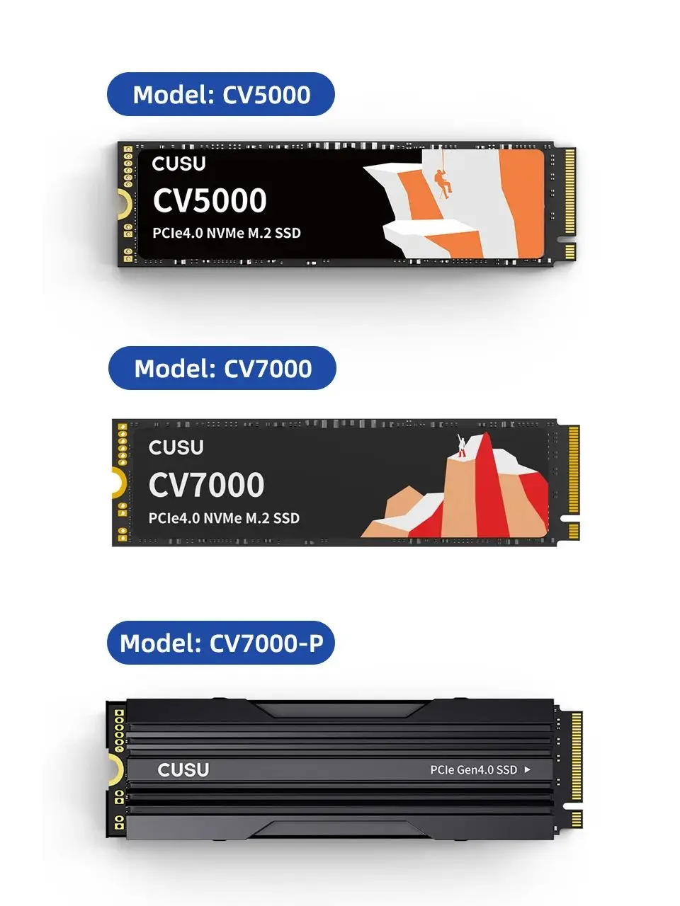 Why You Should Buy a 1TB SSD Now: A Real User's Honest Review of