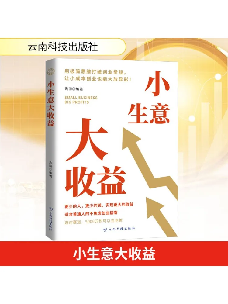 

Книга-Winshare Малый бизнес Большие профили