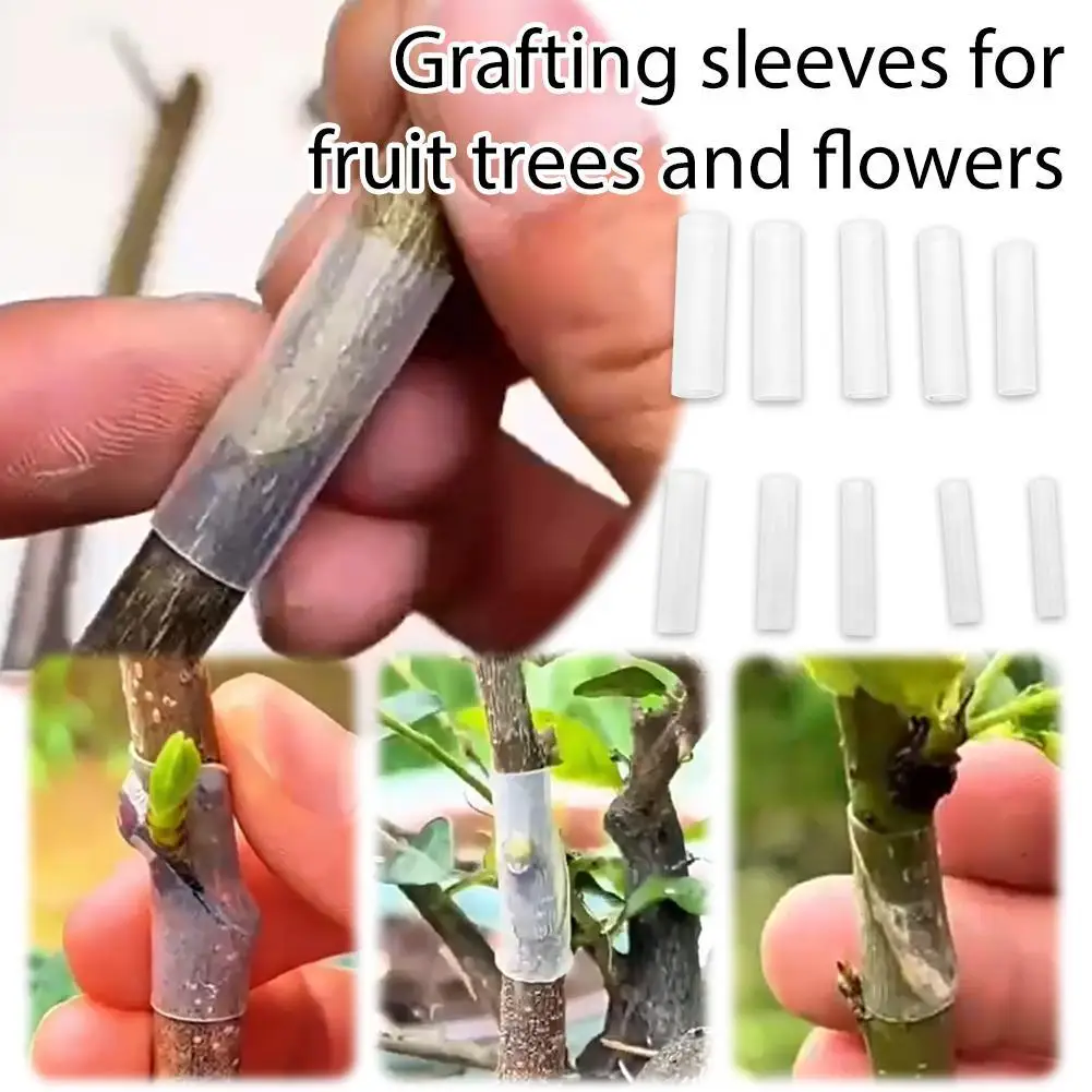 

50Pcs/set Gardening Special Fruit Tree And Flower Grafting Sleeve Nursery Plants Seedlings Vine Floristry Tomato Grafting Suppli