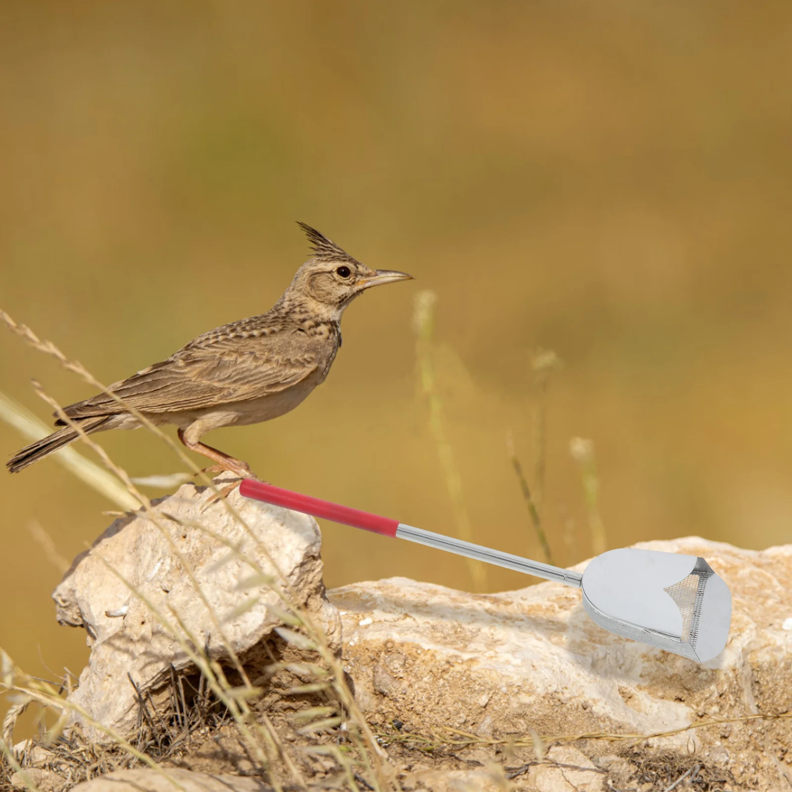 

Metal Bird Cage Poop Scooper Stainless Steel Long Handle Ergonomic Cleaning Accessory for Chicken Coop Litter Metal Chicken Coop