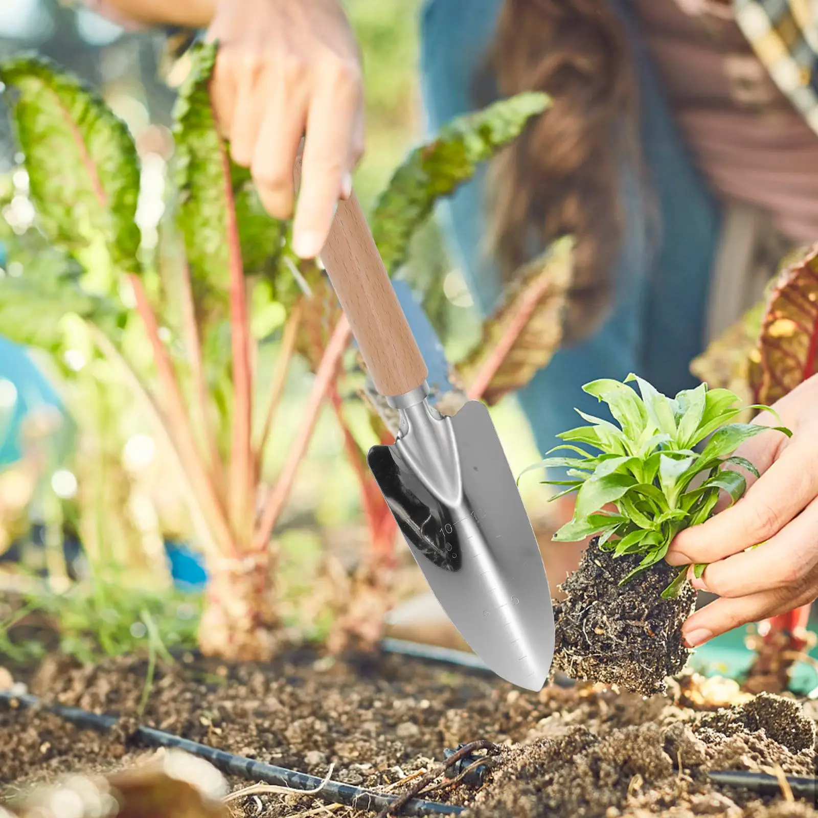 나무 손잡이가있는 2Pcs 스테인레스 스틸 정원 삽 잡초 제거를위한 경량 손 삽 야외 도구 세트