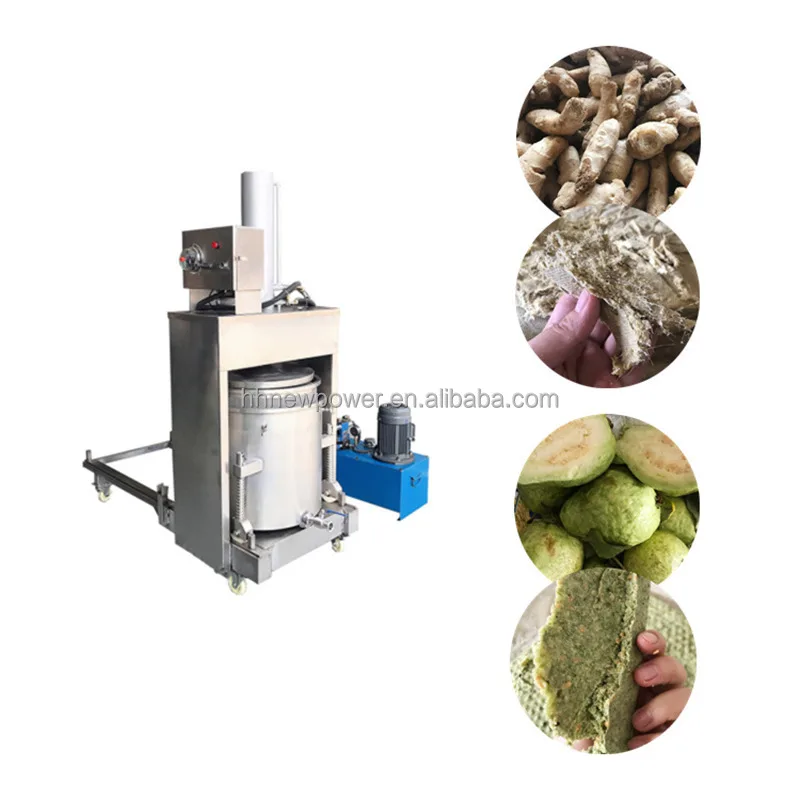 Electric Hydraulic Cold Press Squeezer Machine for Pure Juice Juicer Vegetable Food Lemon Fruits Grape Wine Cherry Automatic