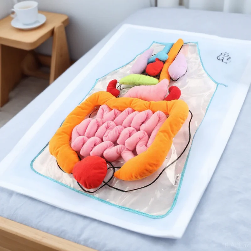 

1Set Human Body Organs Apron Interactive Educational Tool for Early Learning Anatomy Teaching Aid Sensory Home