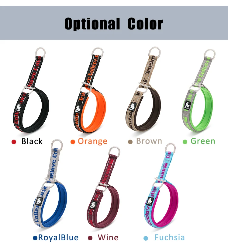 Truelove Hundehalsband, P-Kette, Nylon, verstellbar, reflektierend, SBR-Neopren, zugfest, explosionsgeschützt, für Reisen von Hunden und Katzen TLC5371 – Detail 2