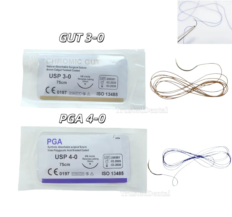 20/50pcs Dental Oral Surgical Sutures Absorbable CHROMIC GUT Sterile School Test PGA Synthetic Violet Acid Coat 75mm