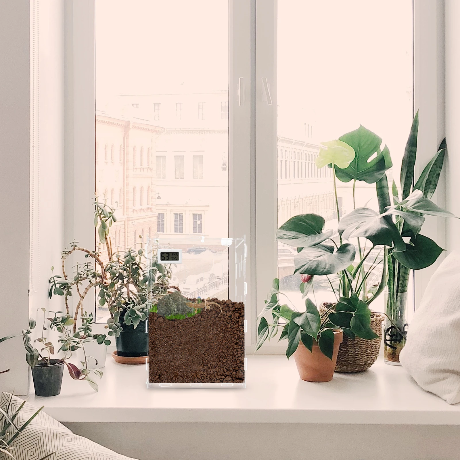 

High Quality Acrylic Reptile Box Transparent Breeding Container Pet Habitat Ventilation Holes Durable Case Small for reptile